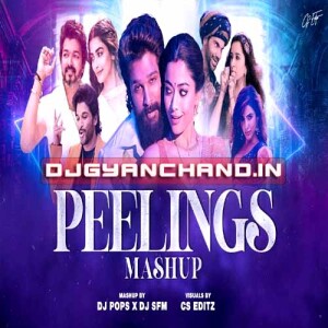 PEELINGS MASHUP Pushpa 2 The Rule - DJ SFM X DJ POPS